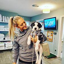 We take pride in providing modern medical and surgical services for your pets. Family Pet Veterinary Center Norwalk Norwalk Ia