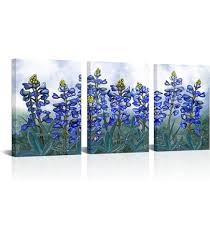 Image result for Bluebonnet Blue 1958 Plymouth