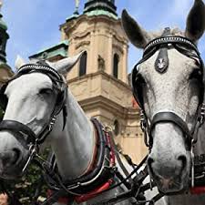 The g2 series of lenses are all superb. Amazon Com Tamron Sp 24 70mm F 2 8 Di Vc Usd G2 For Canon Dslr Cameras Tamron 6 Year Limited Usa Warranty Camera Photo