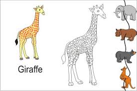 Granted there are some related books on drawing animals but these aren't always enough. Updated Kids Trace Wild Animals Learn Android App Download 2021