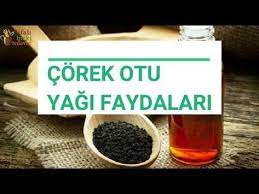 Corek Otu Yagi Faydalari Nelerdir Corek Otu Yaginin Cilde Ve Saca Faydalari Nelerdir Nasil Kullanilir Zayiflatir Mi Fiyati Ned Sifali Otlar Otlar Corek Otu