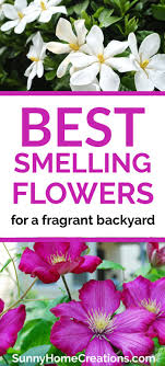 10 Best Smelling Flowers For Your Yard In 2020 Best Smelling Flowers Smelling Flowers Backyard Flowers