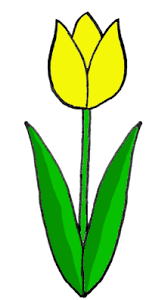 Learn how to draw tulips :: drawing Lessons for kids