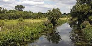 Guided Walk: Midsummer Stroll at Thorley Wash