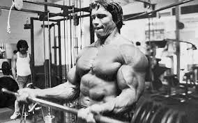 64 Arnold Schwarzenegger Quotes On Bodybuilding Motivation