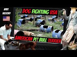 Documentaries and Reports about APBT & Gamedog World