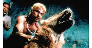Amores Perros Reseña de Película