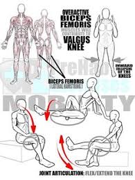 Rolling The Biceps Femurs To Correct Prehab Exercises Bow Legged Correction Bow Legged Knee Exercises
