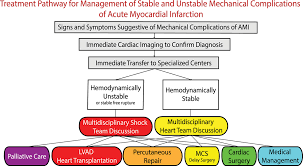 Image result for Myocardial Infarction Stabilization
