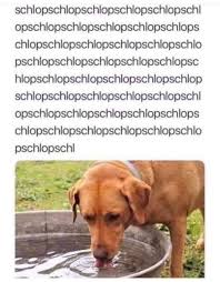 33 Of Today S Freshest Pics And Memes Funny Pictures Funny Memes Cute Funny Animals
