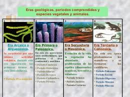 Eras Geolgicas 4 728 Tipos De Fosiles Evolucion De La Vida Sinoptico