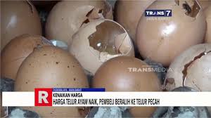Kepoin pabrik pembuatan nugget ayam berkarakter yogyakarta | si unyil. Harga Telur Ayam Naik Pembeli Beralih Ke Telur Pecah Youtube