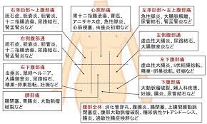 腹痛の部位の違いは 季肋部 心窩部はどこ 医学的見地から 医学 看護ノート 健康のモチベーション
