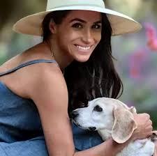 Support For Meghan & Harry of Sussex