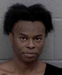 Terrika Thomas Felony Possesison Larceny