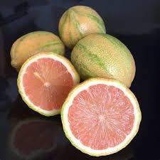 Pink Lemons Information Recipes And Facts Pink Lemon Tree Citrus Plant Citrus Trees