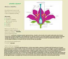 We did not find results for: Diversidad En La Reproduccion Bloque Ii Tema 1 Apoyo Primaria