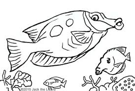 Hippocampus the half horse and half fish creature. Animal Coloring Pages Jack The Lizard Wonder World