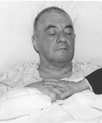 Its Role and Importance In Healthcare