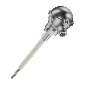 cảm biến nhiệt độ RECKMANN,
