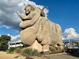 From a northern middle english dialectal term big, bigge (powerful, strong) possibly from a dialect of old norse. The Big Merino Goulburn 2021 All You Need To Know Before You Go With Photos Tripadvisor