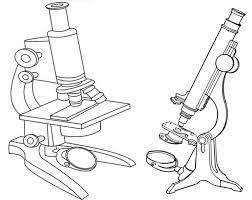 Best Microscope Clipart For Teacher And Students Best Microscope Clip Art Coloring Pages