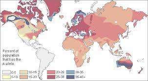 We did not find results for: Modern Human Variation Distribution Of Blood Types
