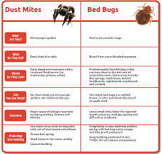 Some mites do bite animals and humans. Dust Mites Versus Bed Bugs Bed Bug Bites Bed Bug Remedies Bed Bugs