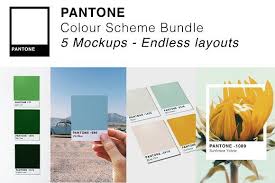 Pantone Colour Mockup Bundle Pantone Color Pantone Pantone Swatches