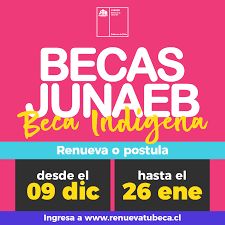 La junaeb no entrega absolutamente nada para pagar en la micro mientras estás sin pase. Postulacion Y Renovacion De Becas Junaeb 2020 No Exigira Matricula Ni Ano Academico Concluido Radio Las Nieves