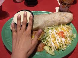 Where do the calories in on the border lunch size chicken fajitas, without rice, beans, tortillas & condiments come from? Estimate The Calories In This Queso Smothered Chicken Fajita Burrito Female Hand For Scale 1200isplenty