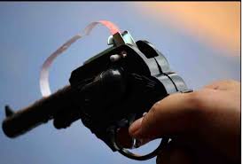 Image result for diwali gun