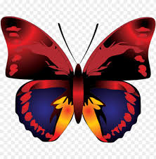 download cartoon red butterfly clipart png photo toppng