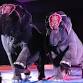 Loomis Bros Circus