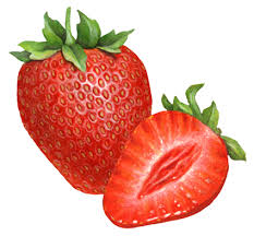Pin On Berry Illustrations For Packaging