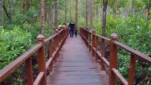 Negara johor melalui enakmen perbadanan taman negara (johor). Pulau Kukup National Park Johor Bahru Destimap Destinations On Map