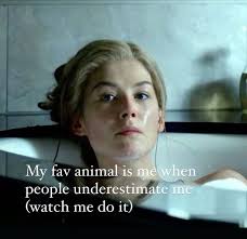 Si Camille Ace (CamilleDane1997)