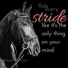 Ride Every Stride Riding Quotes Equine Quotes Equestrian Quotes