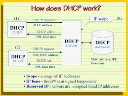 Understanding Dhcp Computer Science Computer Science Coding Forensics And Investigations Teachin Networking Basics Cisco Networking Technology Cisco Networking
