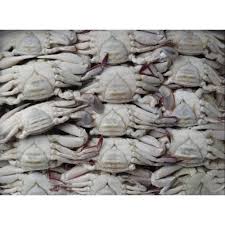 (sendirian berhad) sdn bhd malaysia company is the one that can be easily started by foreign owners in malaysia. Frozen Crabs By Shree Trading And Services Sdn Bhd Frozen Crabs From Bangalore Id 5378715