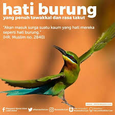 Meski demikian, konsep ini kerap. Tawakkalnya Burung Quran Motivasi Islam
