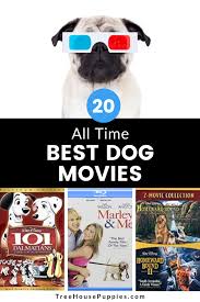 20 Best Dog Movies Of All Time 2020 Review Treehousepuppies In 2020 Dog Movies Dogs Best Dogs