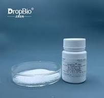 Wholesale Dichlorobenzyl Alcohol A safe and stable anti ...