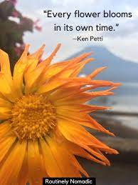 And now it could close, says debora porrà, the mayor of a nearby town that the unit serves. Short Flower Quotes 110 Amazing Flower Sayings Routinely Nomadic