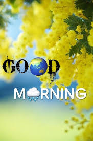 Planting flowers flowers flowers nature flower painting trees to plant amazing flowers flowers photography pretty flowers sunflowers and daisies. 818 Nature Good Morning Images Photos Flowers Pictures