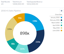 the donut chart salesforce lightning reporting and