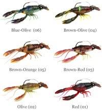 Crawfish Color Chart One Crawfish Isolated Sticker By