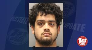 Police: WAWA Carjacking Suspect In Custody After Fleeing