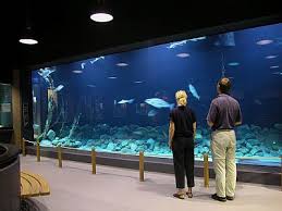 An important of the institute is the aquarium & marine museum which is utilized for biodiversity education, research and public outreach. Aquarium Hall The Fisheries And Maritime Museum Projects C F Moller