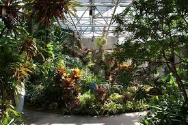San Antonio Botanical Garden Exhibit Room Google Search Botanical Gardens Reception Decorations Foliage